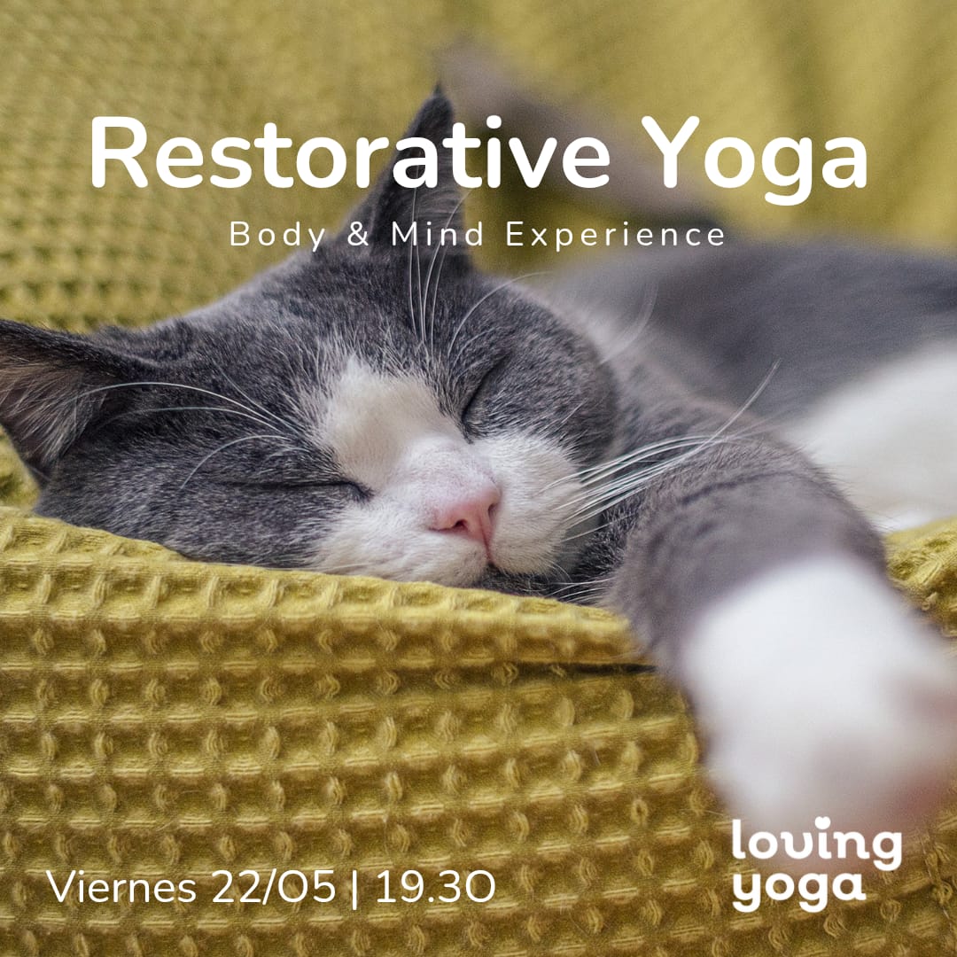 WhatsApp Image 2026-05-11 at 09.27.29 Yoga Restaurativo